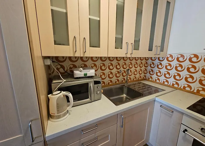 Splendid 300 Meters From The Slopes Apartment